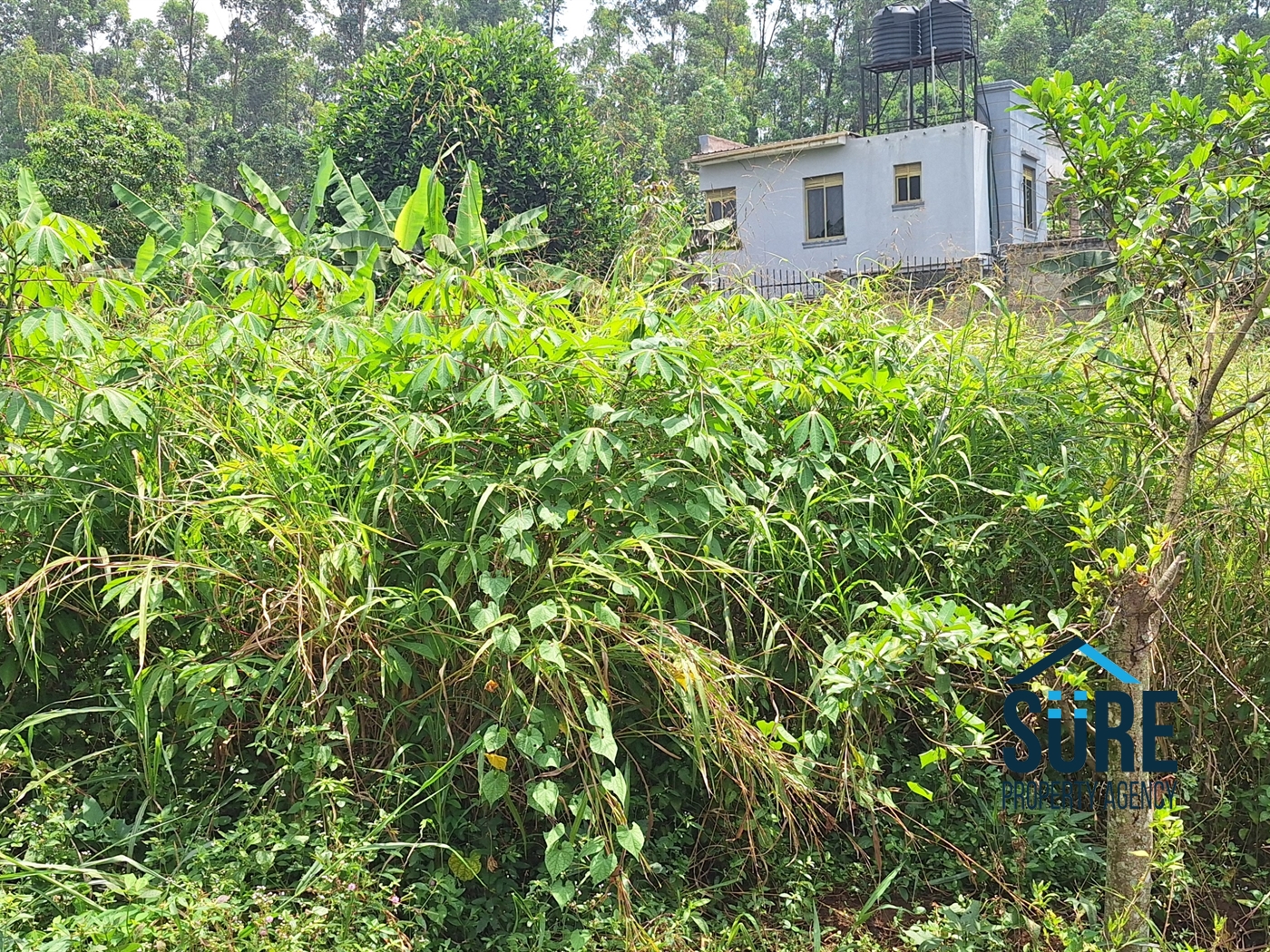 Residential Land for sale in Kitukutwe Wakiso