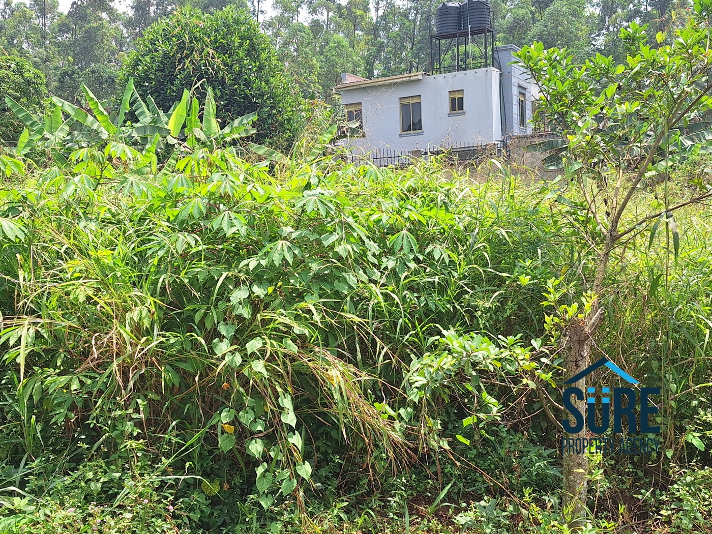 Residential Land for sale in Kitukutwe Wakiso