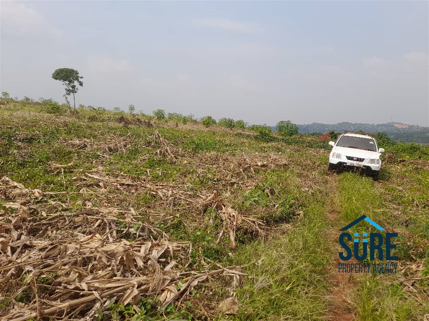 Residential Land for sale in Nabusugwe Wakiso