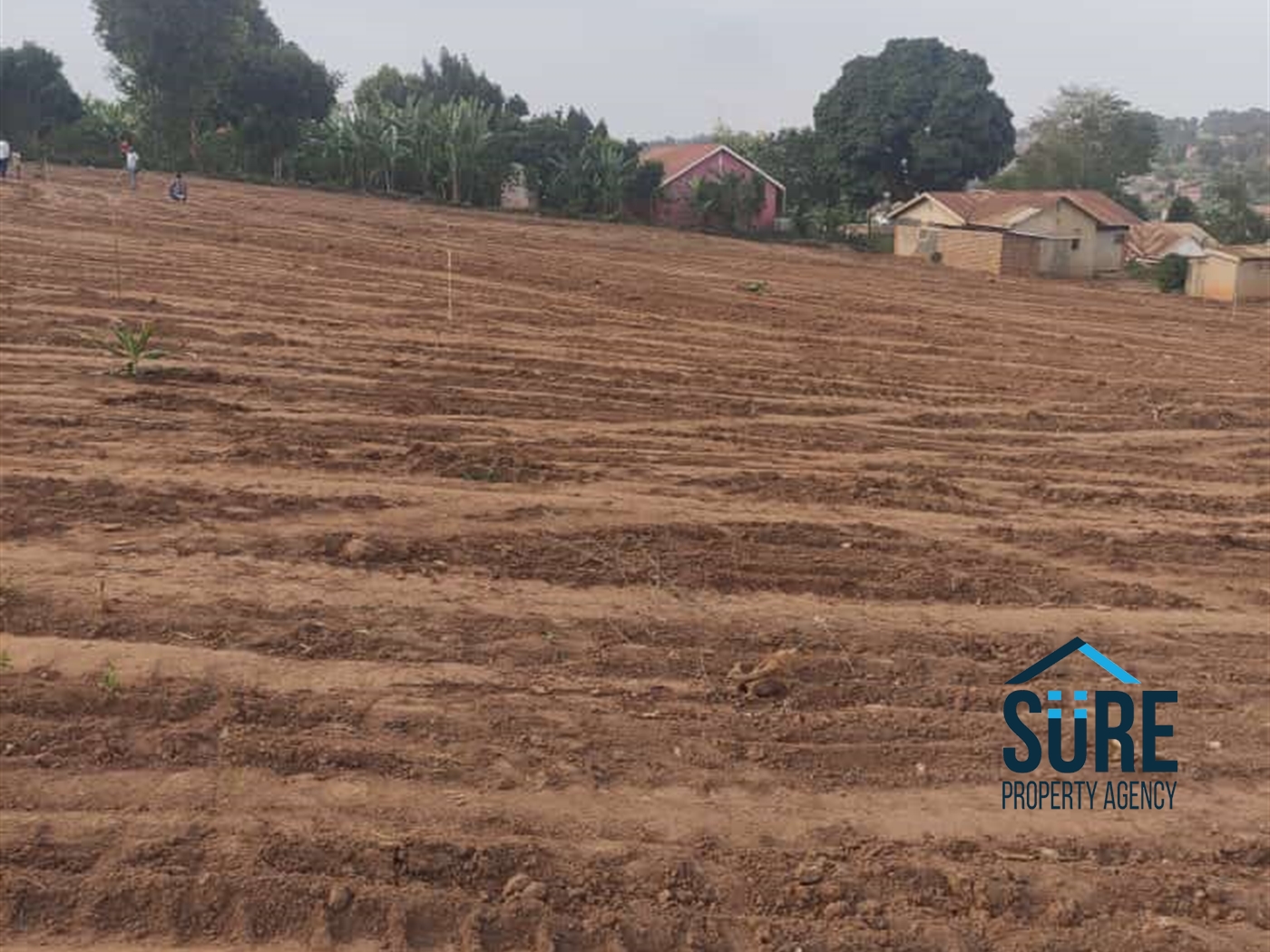 Residential Land for sale in Nasanana Wakiso