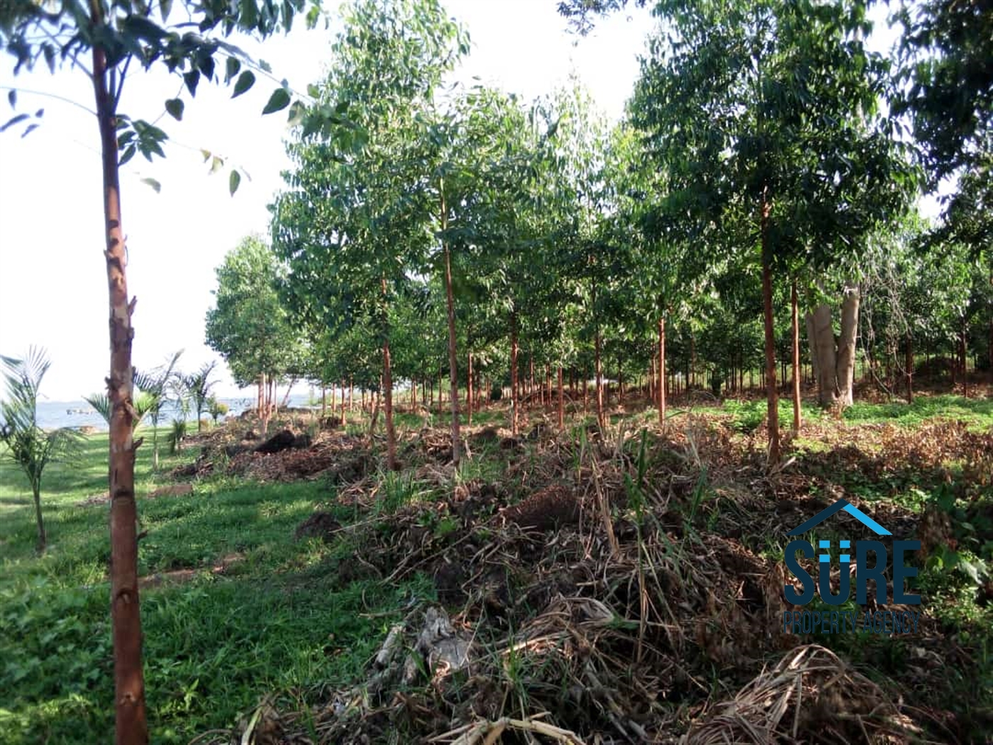 Residential Land for sale in Entebbe Kampala