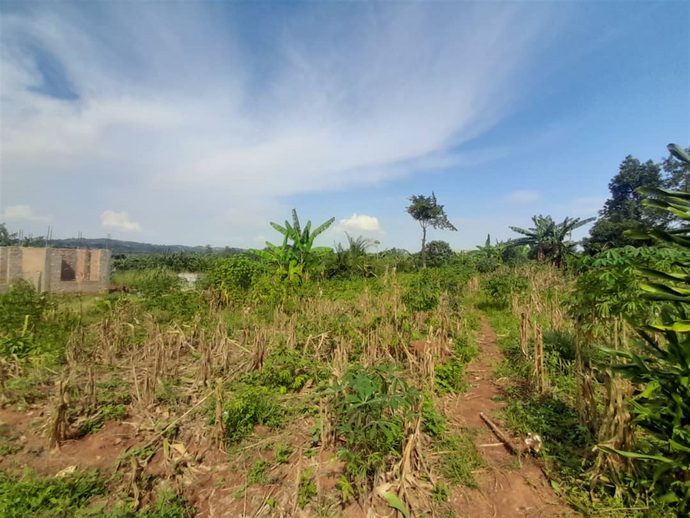 Residential Land for sale in Kira Wakiso