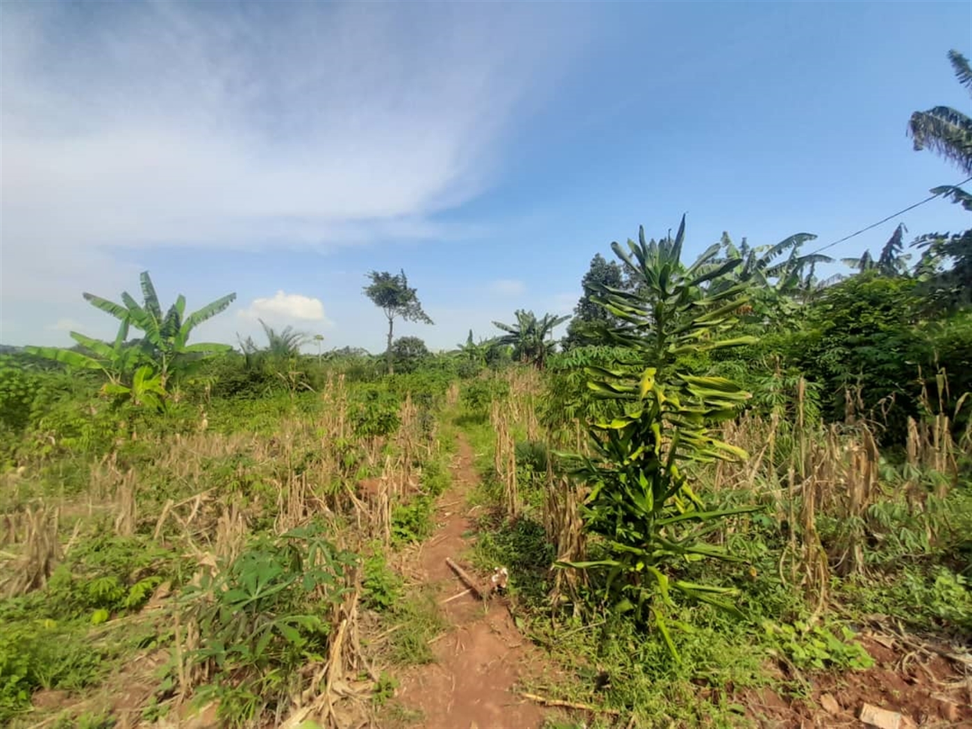 Residential Land for sale in Kira Wakiso