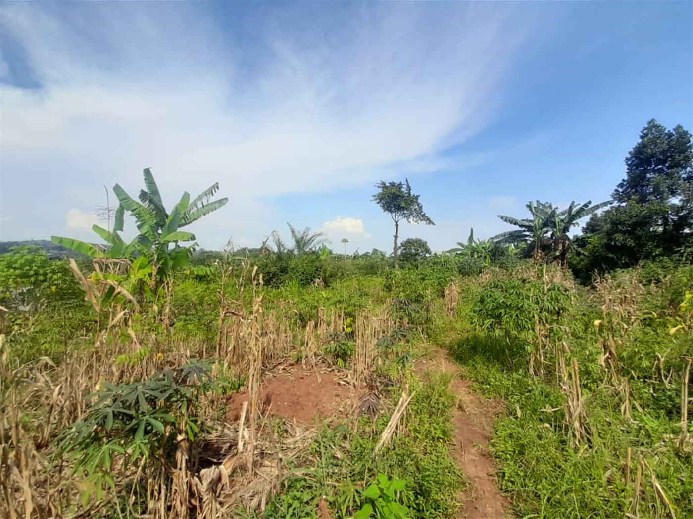 Residential Land for sale in Kira Wakiso