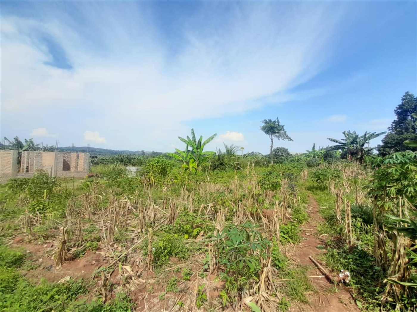 Residential Land for sale in Kira Wakiso