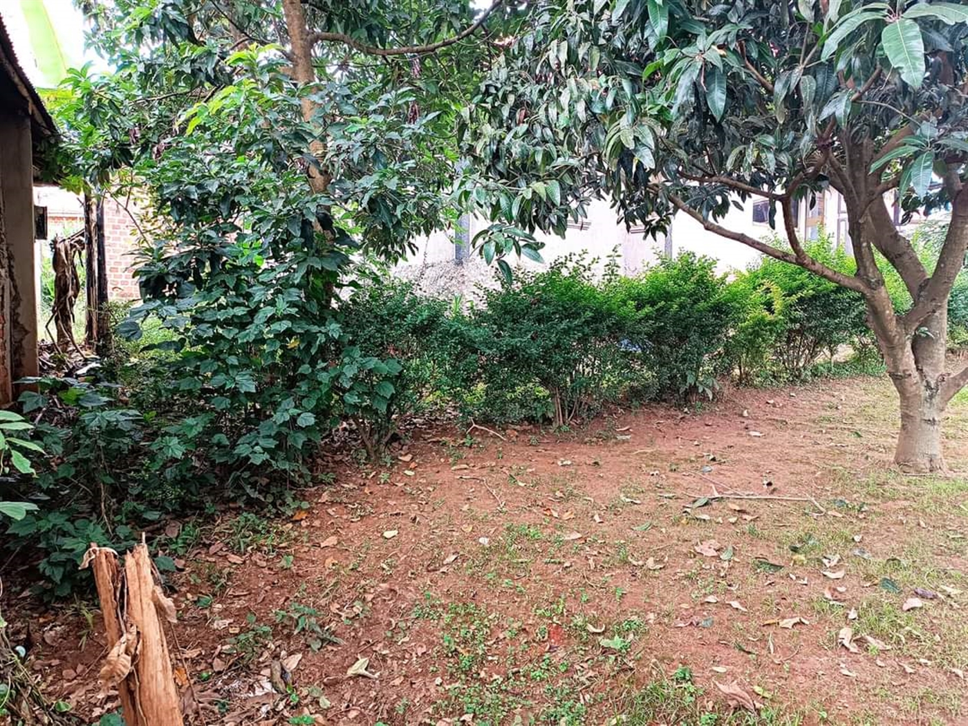 Bungalow for sale in Sonde Wakiso