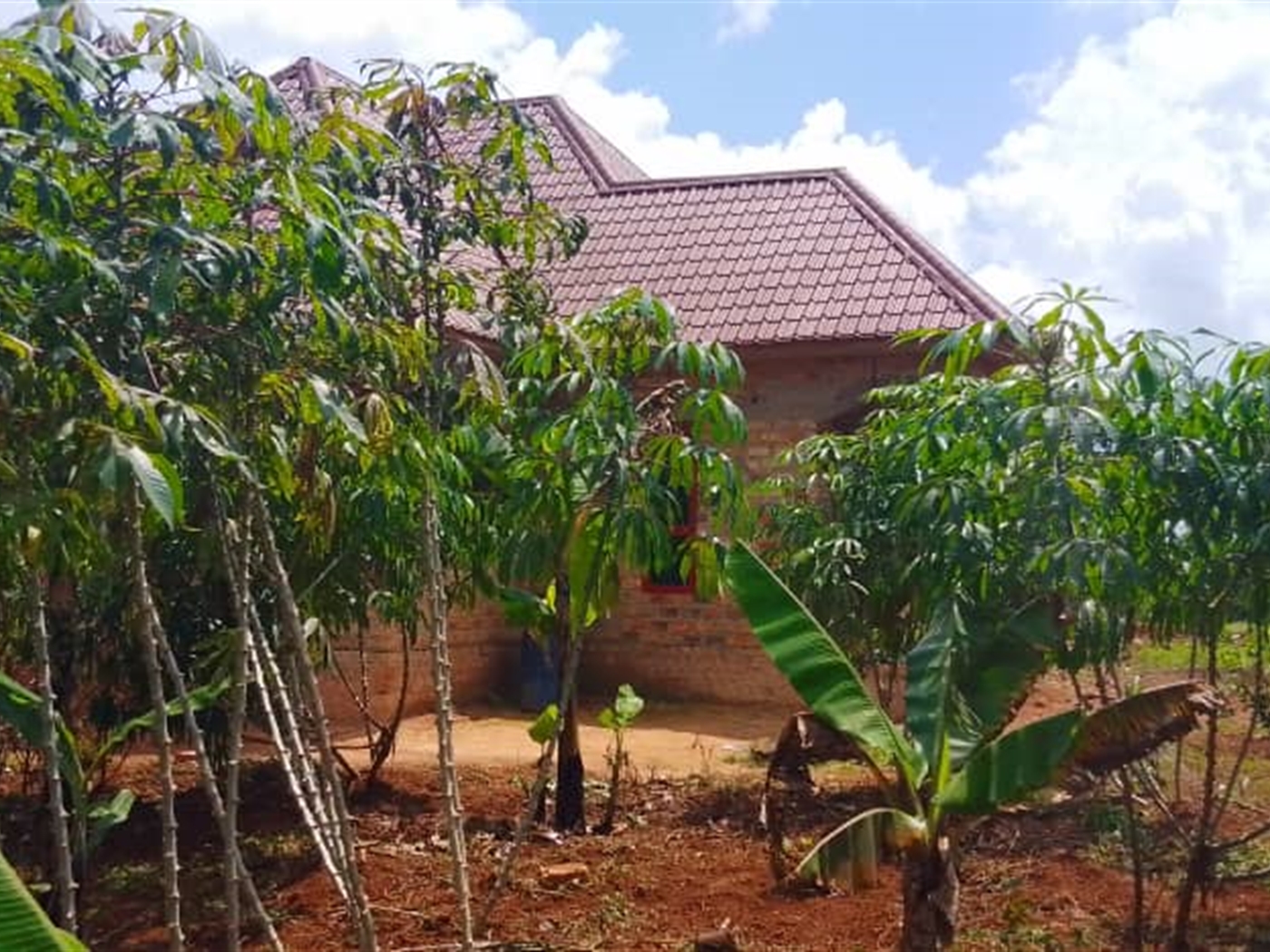 Bungalow for sale in Nakisunga Mukono