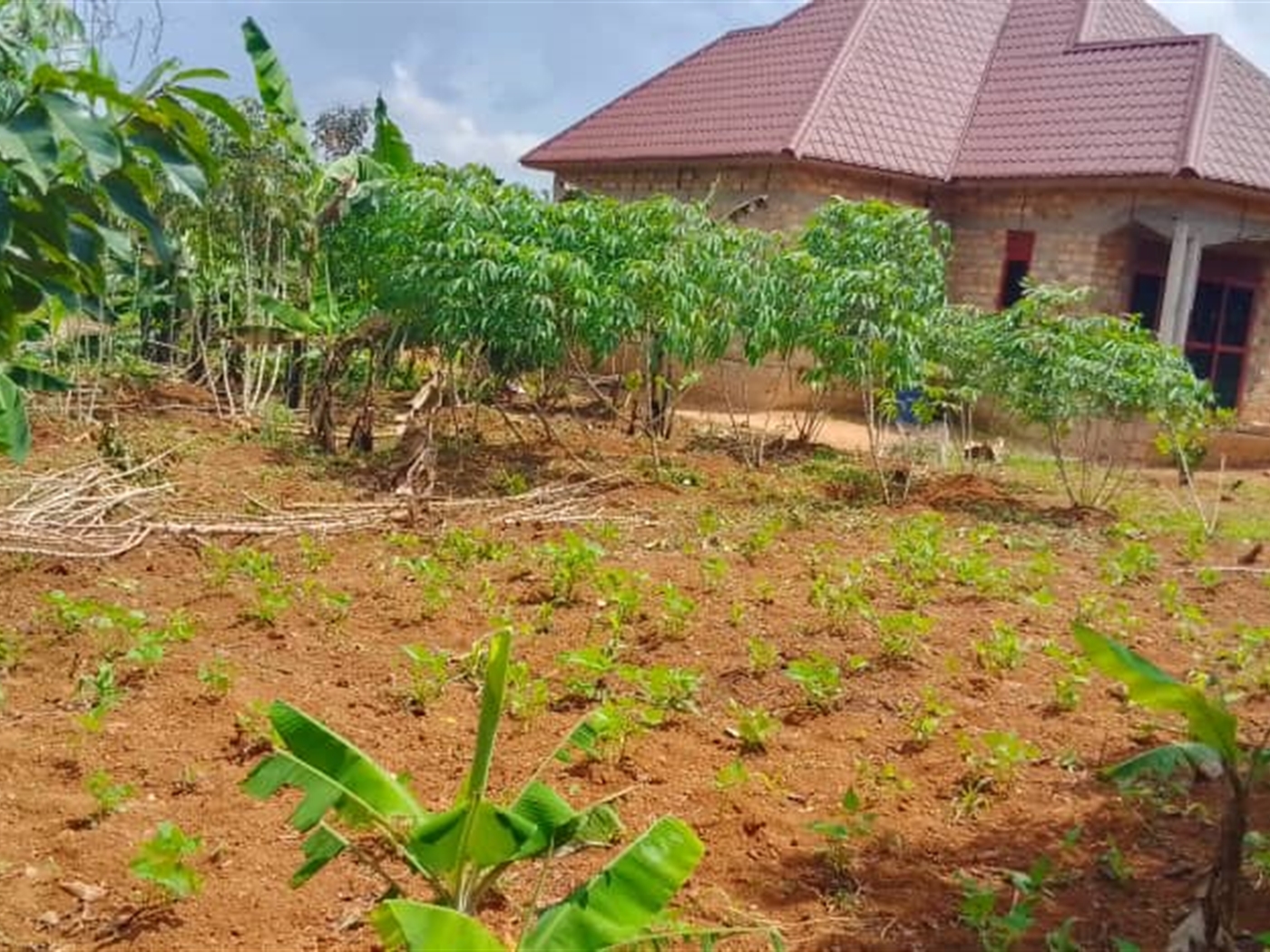 Bungalow for sale in Nakisunga Mukono