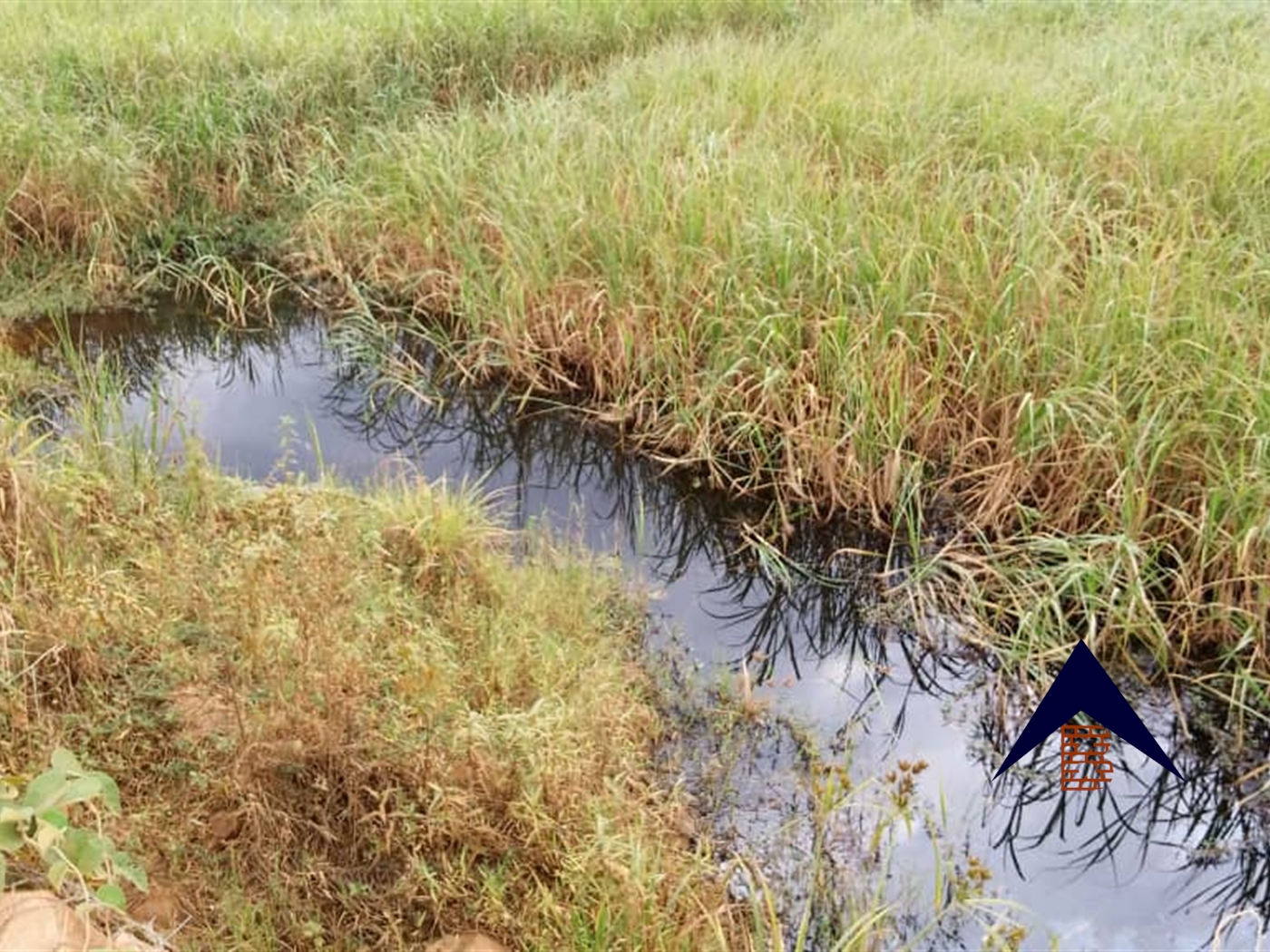 Agricultural Land for sale in Kakooge Luweero