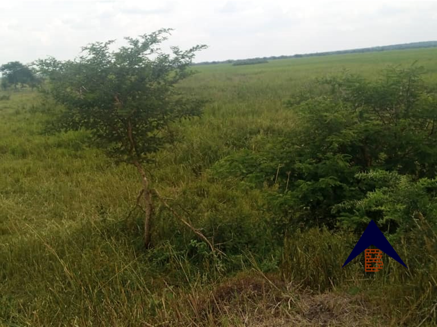 Agricultural Land for sale in Kakooge Luweero