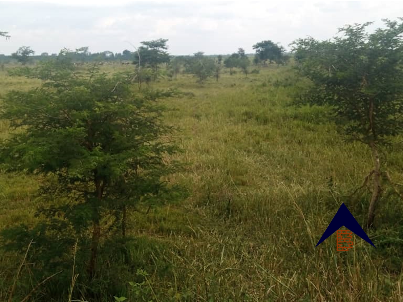 Agricultural Land for sale in Kakooge Luweero