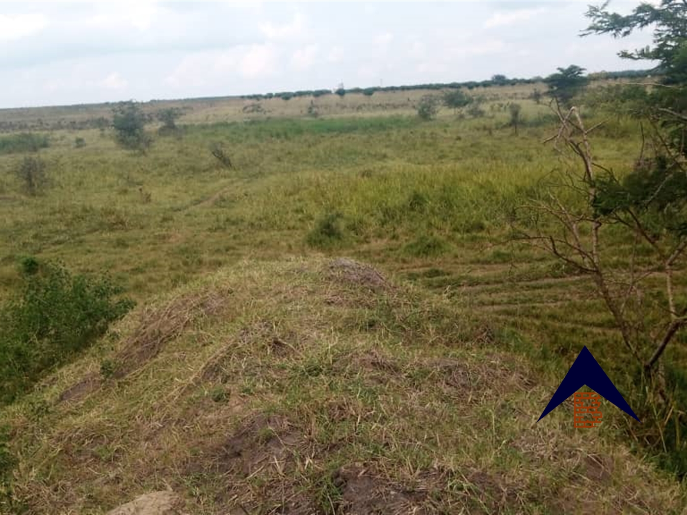 Agricultural Land for sale in Kakooge Luweero