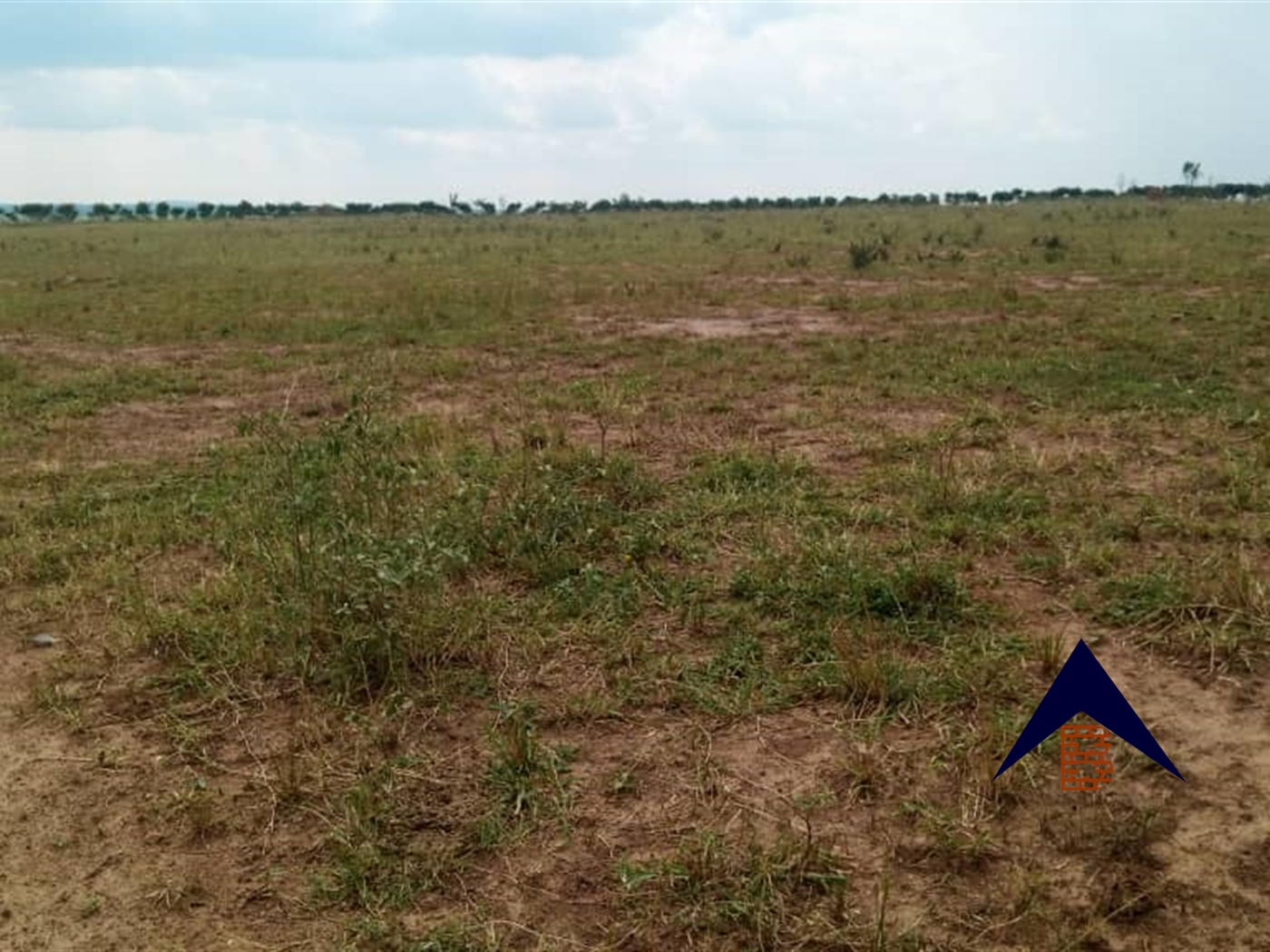 Agricultural Land for sale in Kakooge Luweero