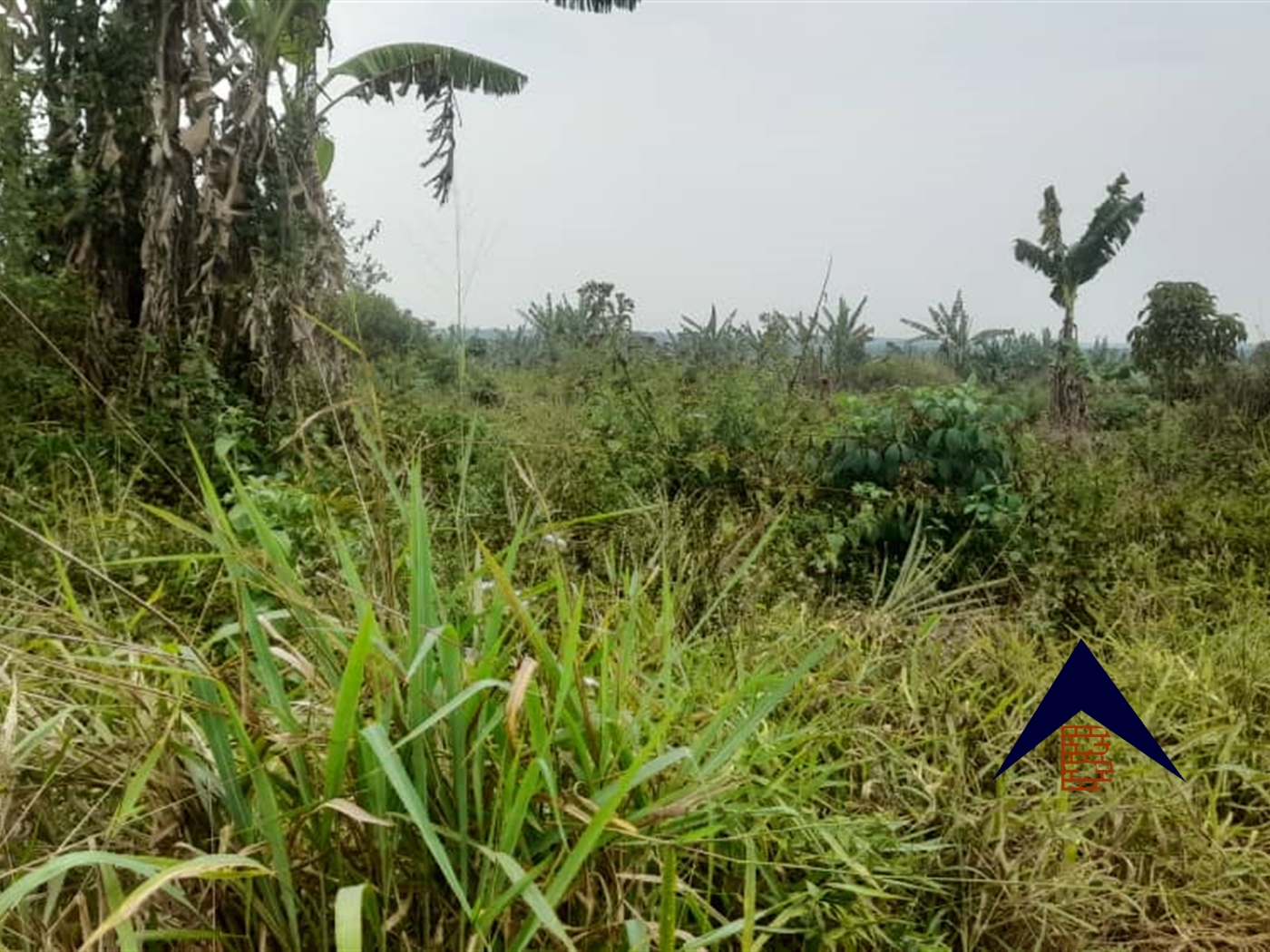 Agricultural Land for sale in Lukiizi Luweero