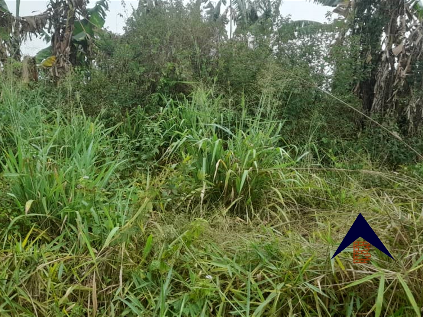 Agricultural Land for sale in Lukiizi Luweero