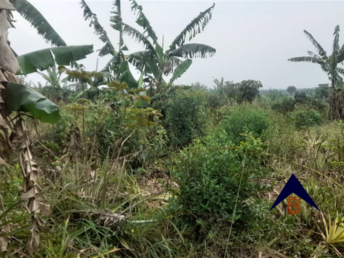 Agricultural Land for sale in Lukiizi Luweero