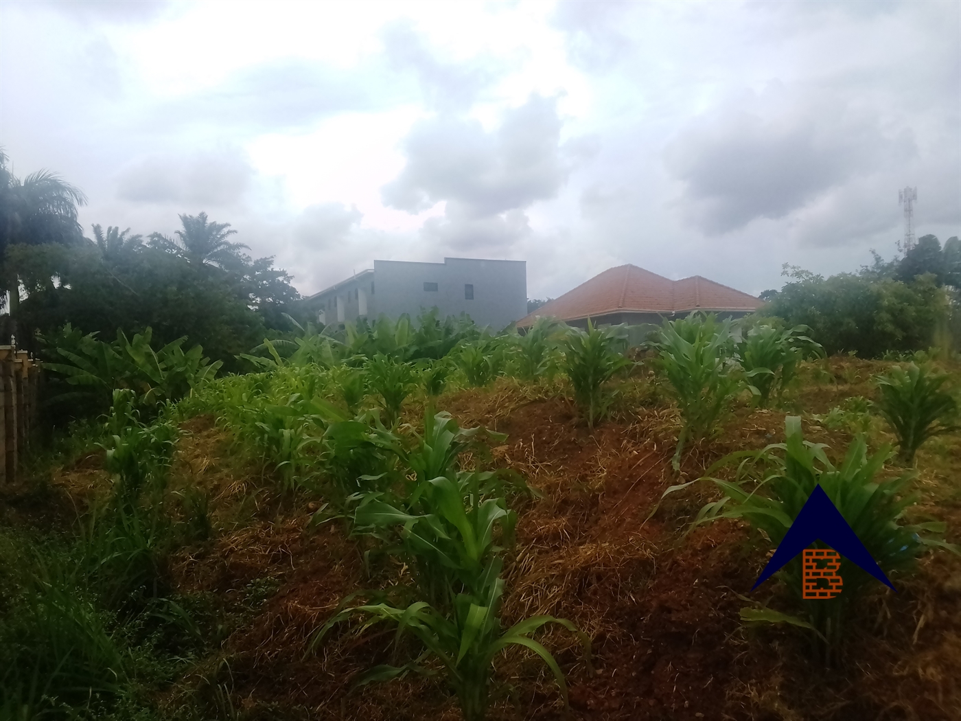 Residential Land for sale in Munyonyo Kampala