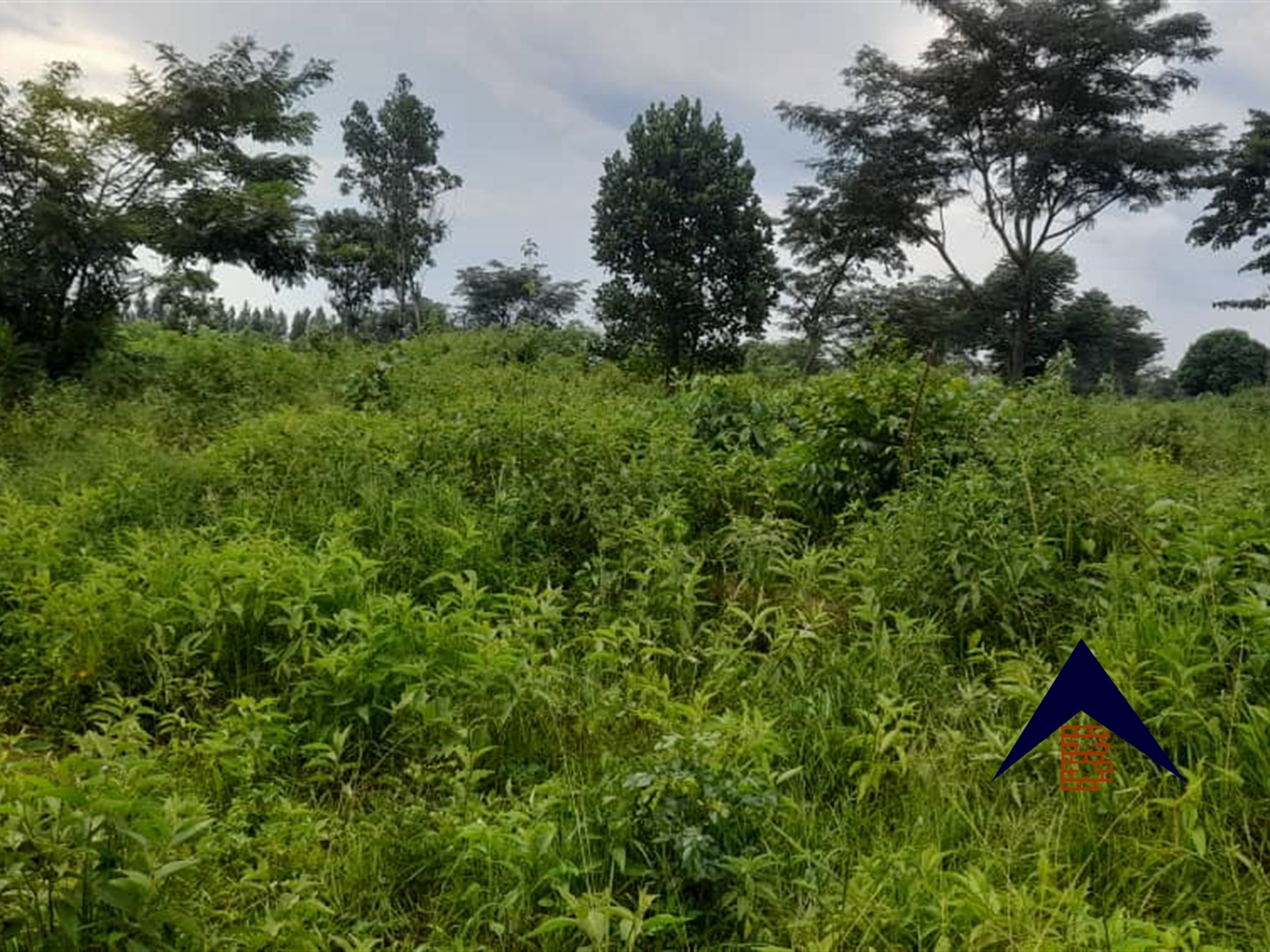 Agricultural Land for sale in Ndibulungi Luweero