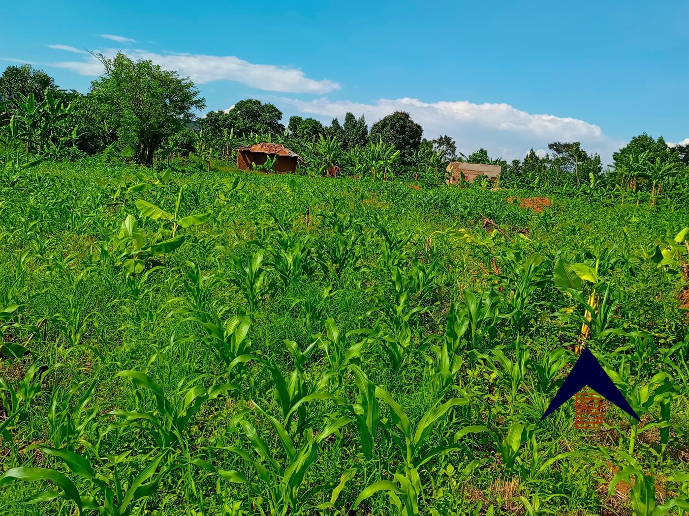 Agricultural Land for sale in Kanyanda Wakiso