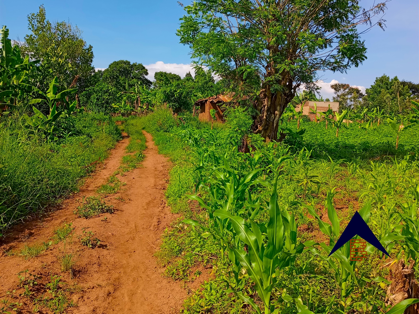 Agricultural Land for sale in Kanyanda Wakiso