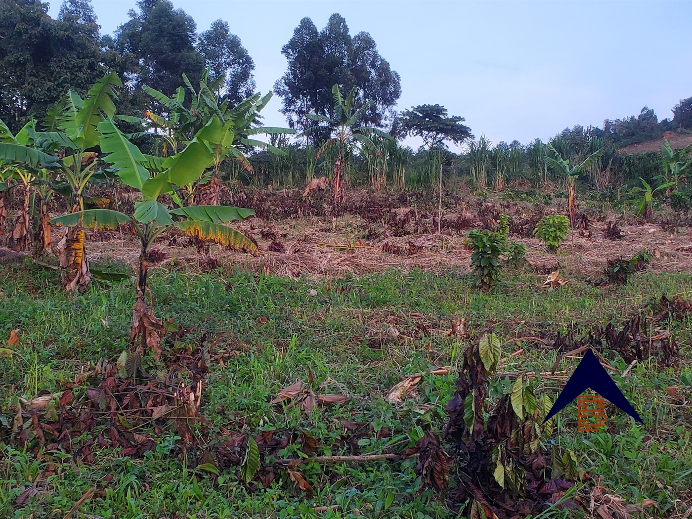 Residential Land for sale in Kamengo Mpigi