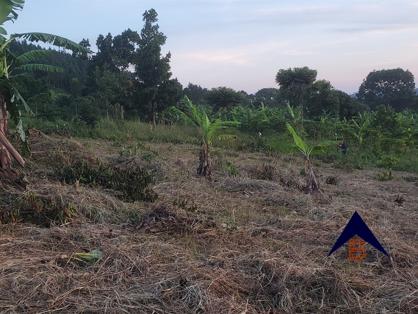 Residential Land for sale in Kamengo Mpigi