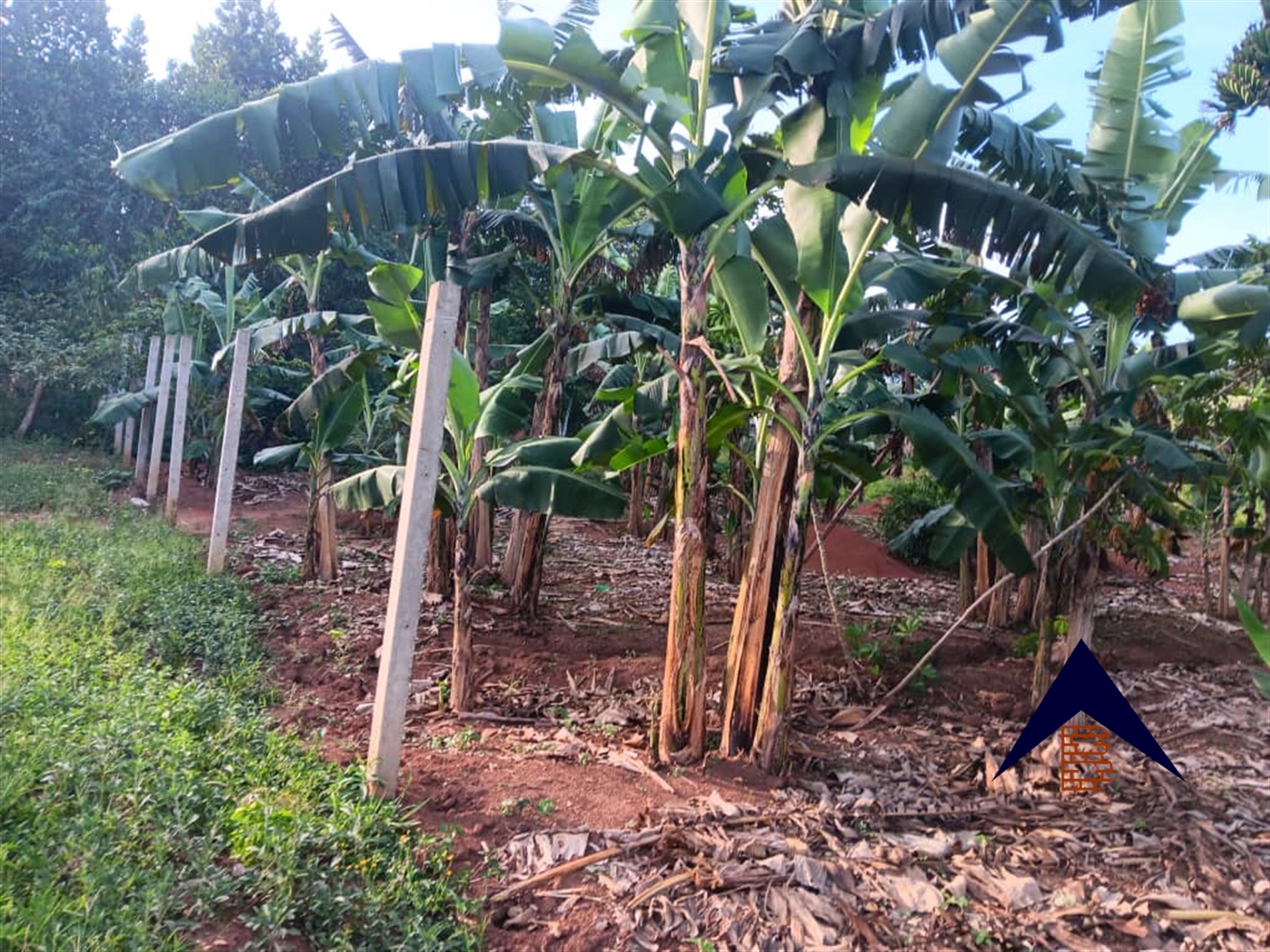 Residential Land for sale in Bukeelele Wakiso