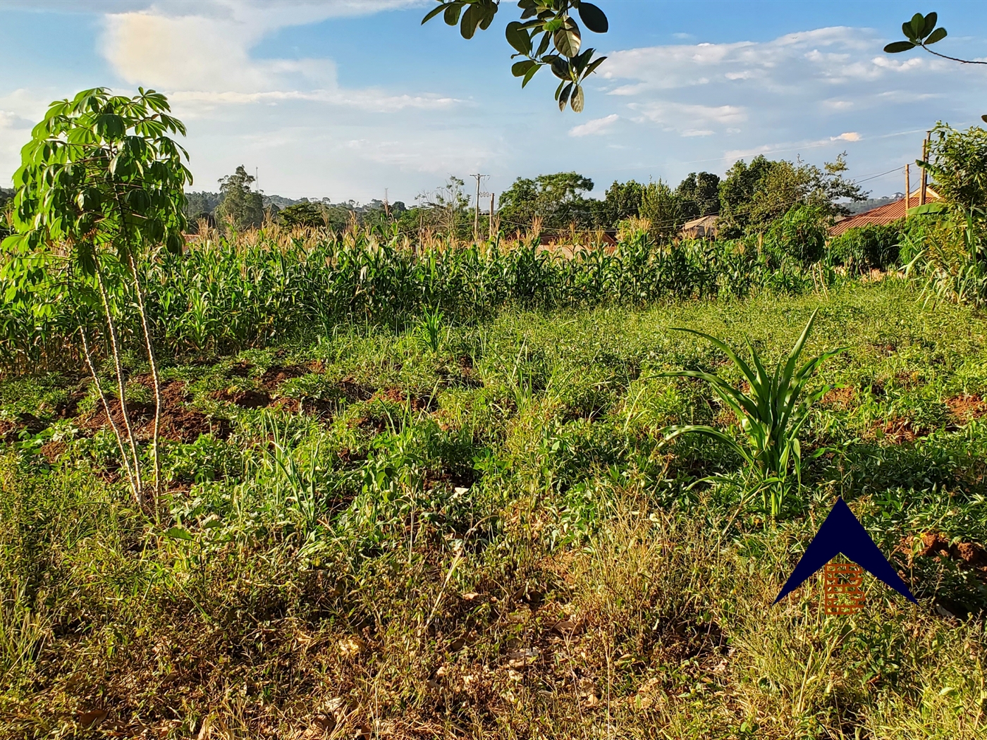 Residential Land for sale in Namugongo Kampala