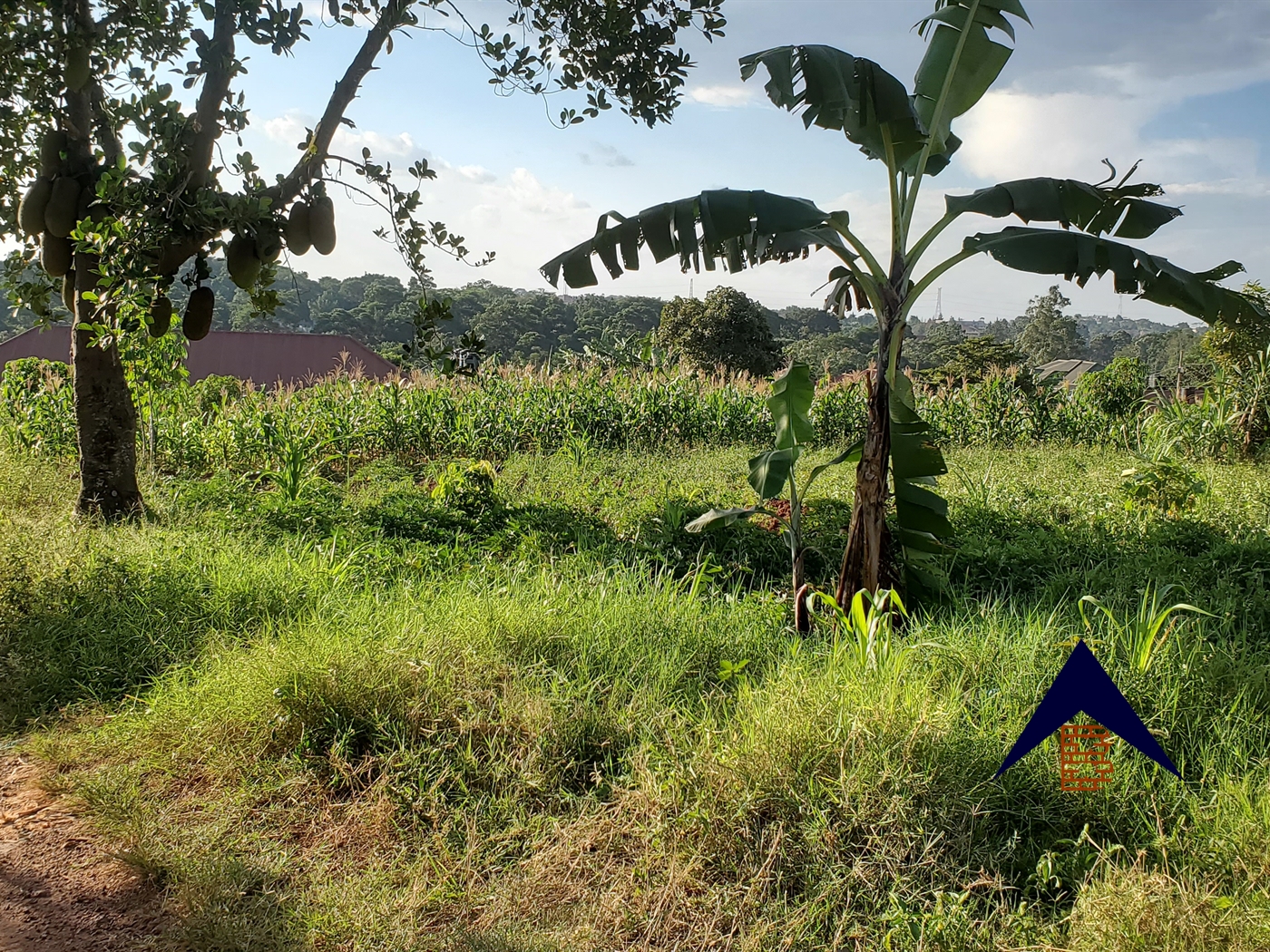 Residential Land for sale in Namugongo Kampala