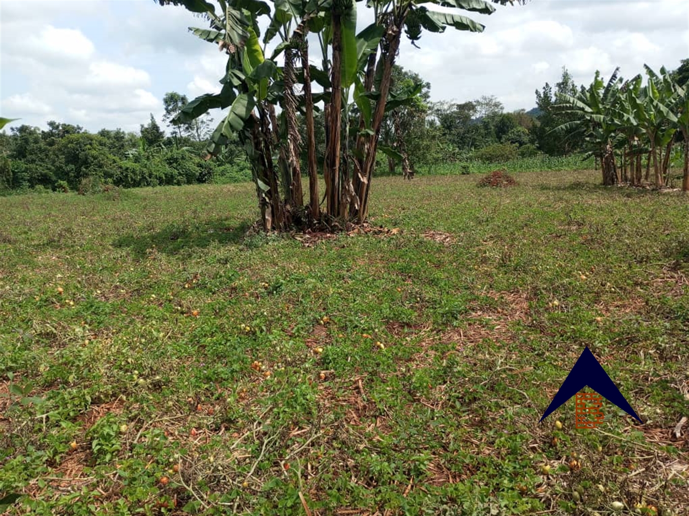 Multipurpose Land for sale in Karule Luweero