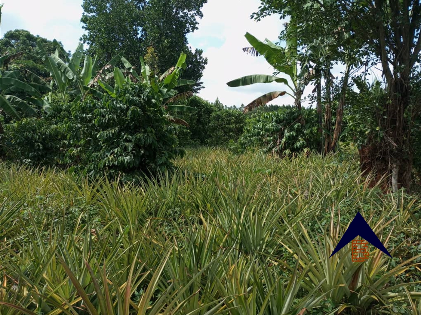 Multipurpose Land for sale in Karule Luweero