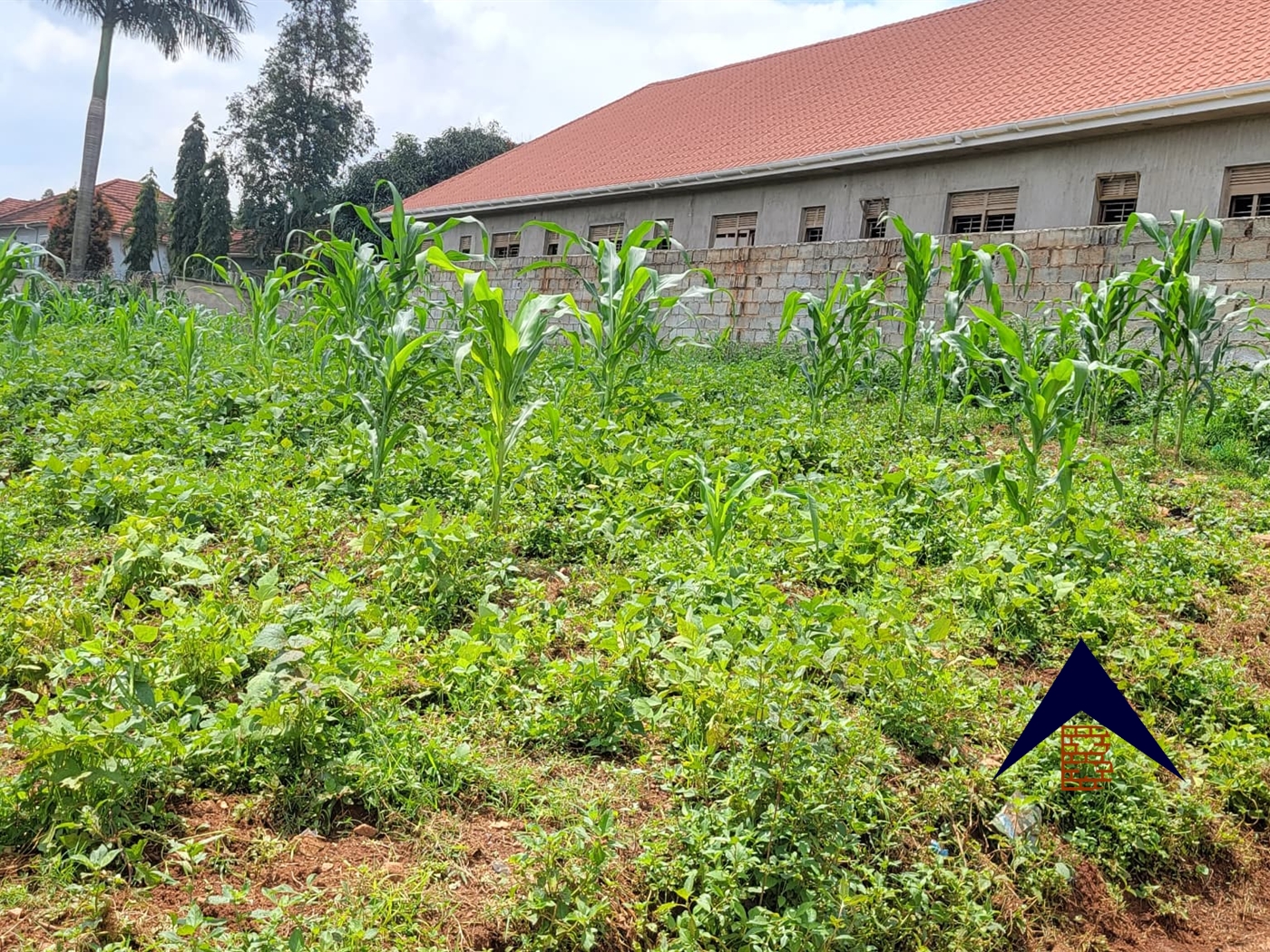 Residential Land for sale in Najjera Kampala