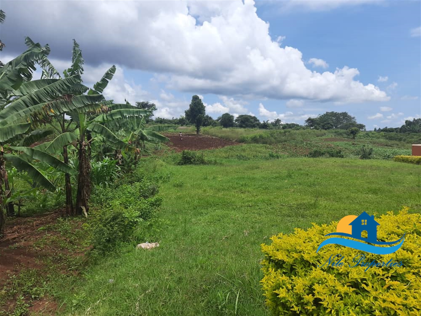 Residential Land for sale in Bukaya Jinja