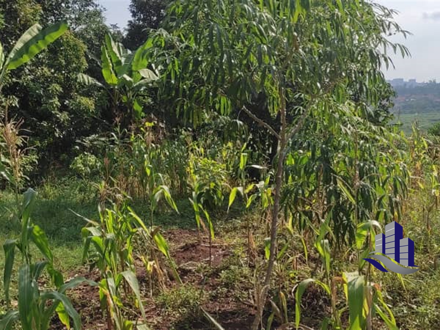 Multipurpose Land for sale in Kirinyabukasa Kampala