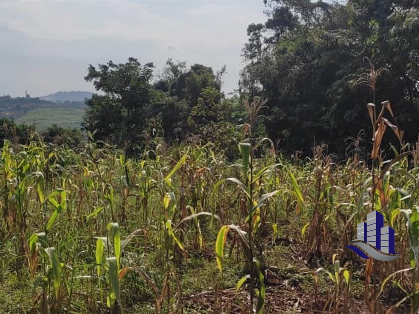 Multipurpose Land for sale in Kirinyabukasa Kampala