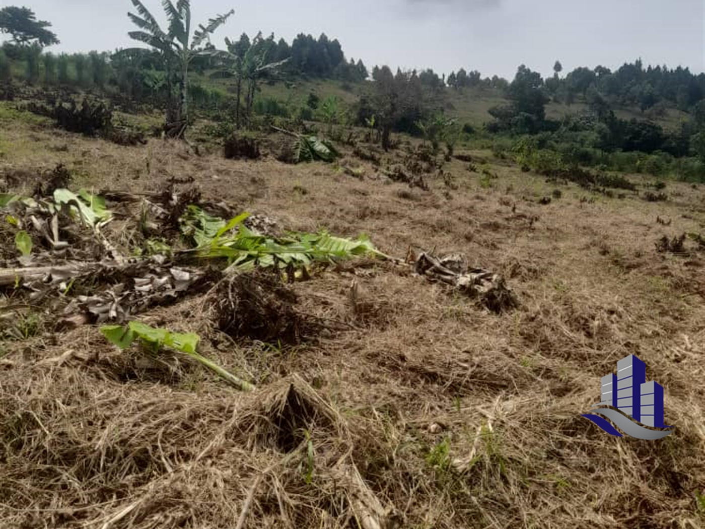 Commercial Land for sale in Gayaza Wakiso