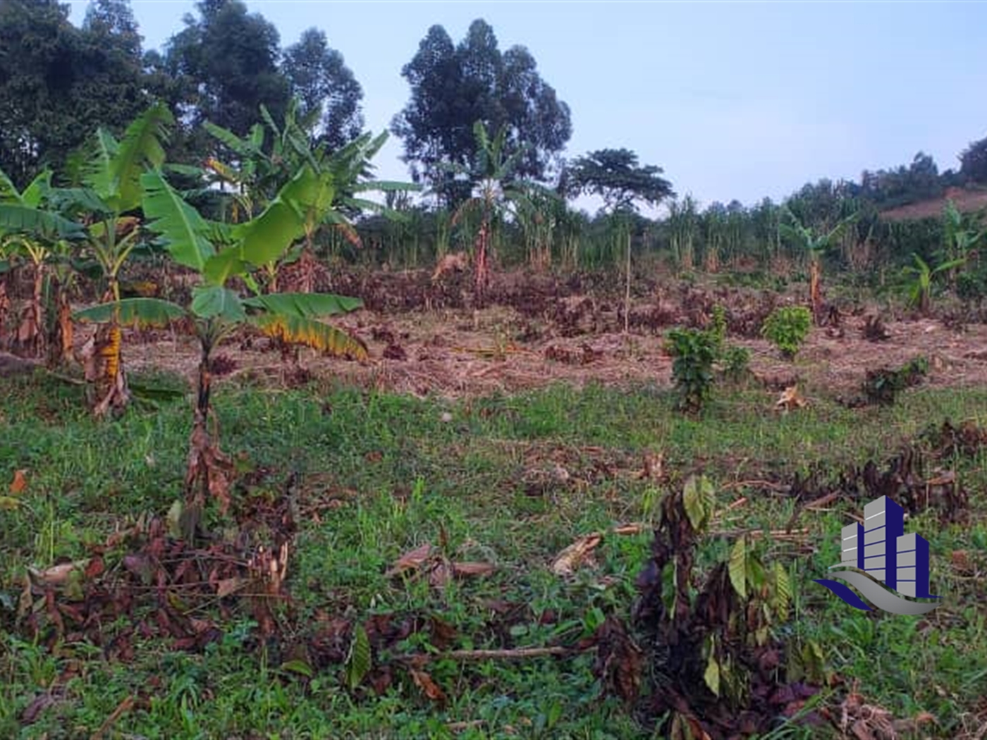 Commercial Land for sale in Gayaza Wakiso