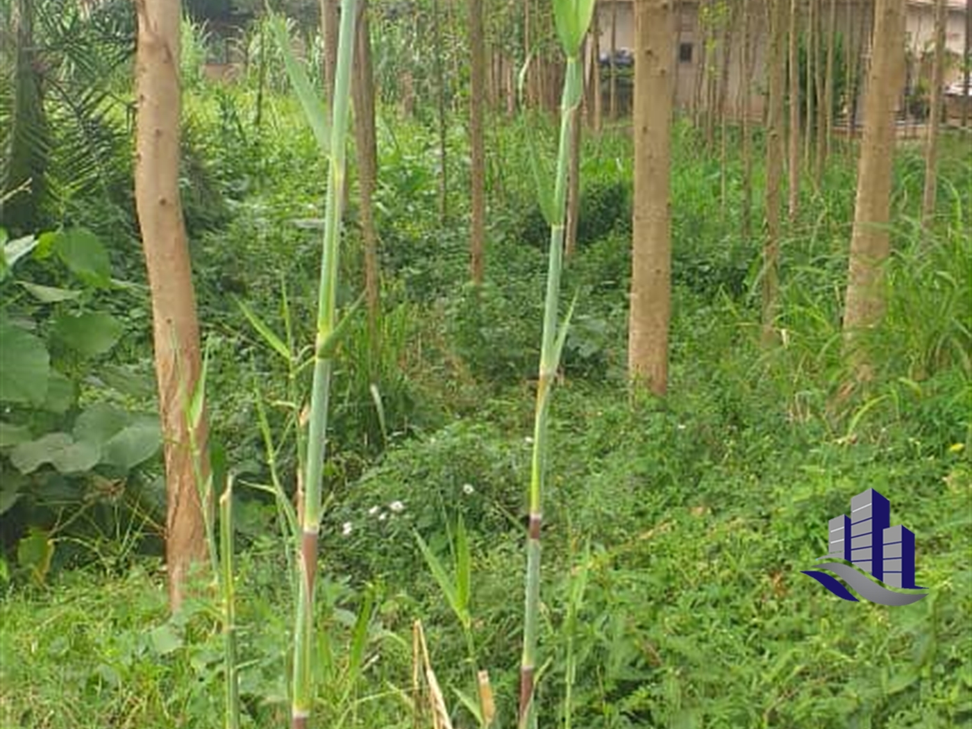 Residential Land for sale in Najjera Wakiso