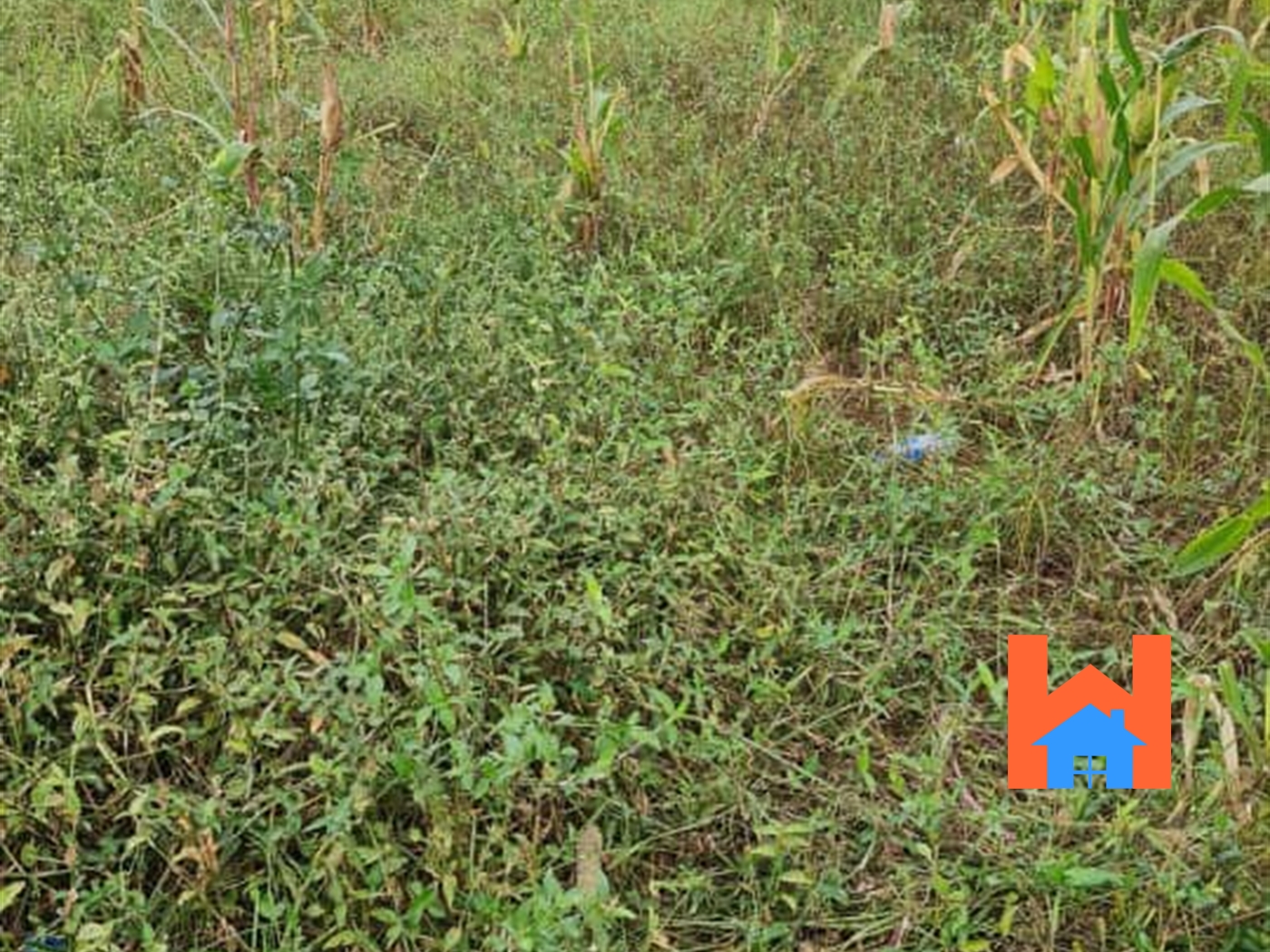 Residential Land for sale in Kiwaatule Kampala