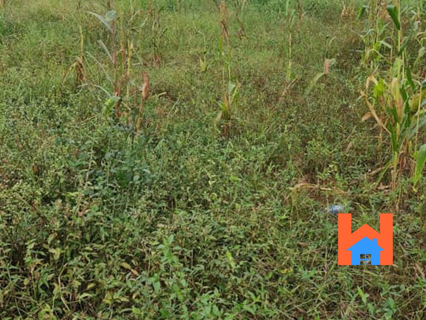 Residential Land for sale in Kiwaatule Kampala