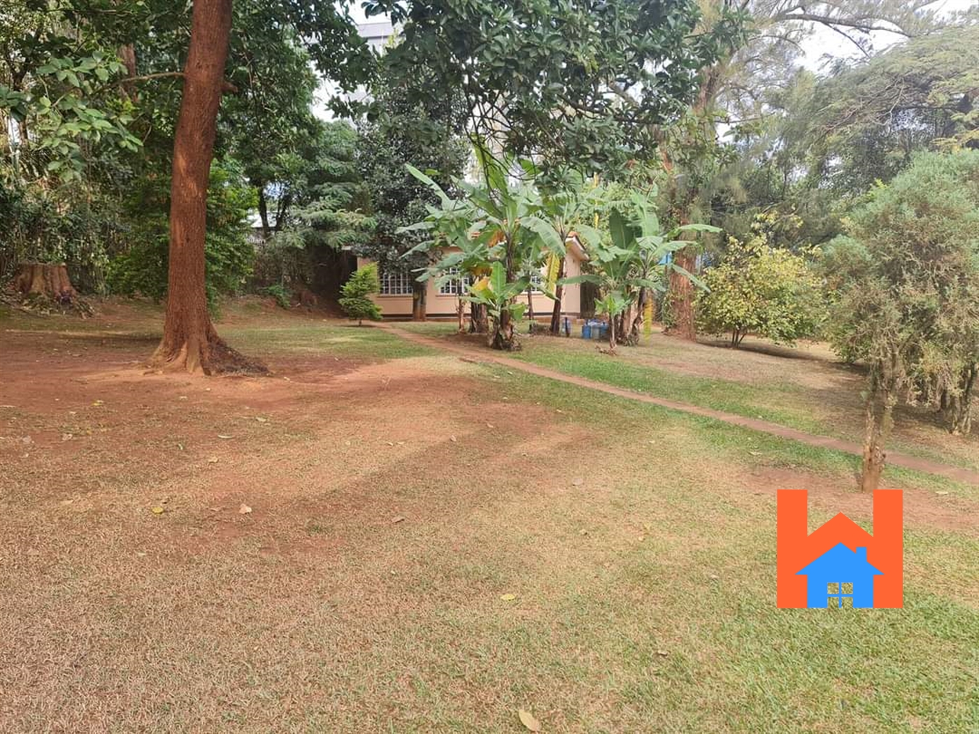 Bungalow for rent in Kololo Kampala