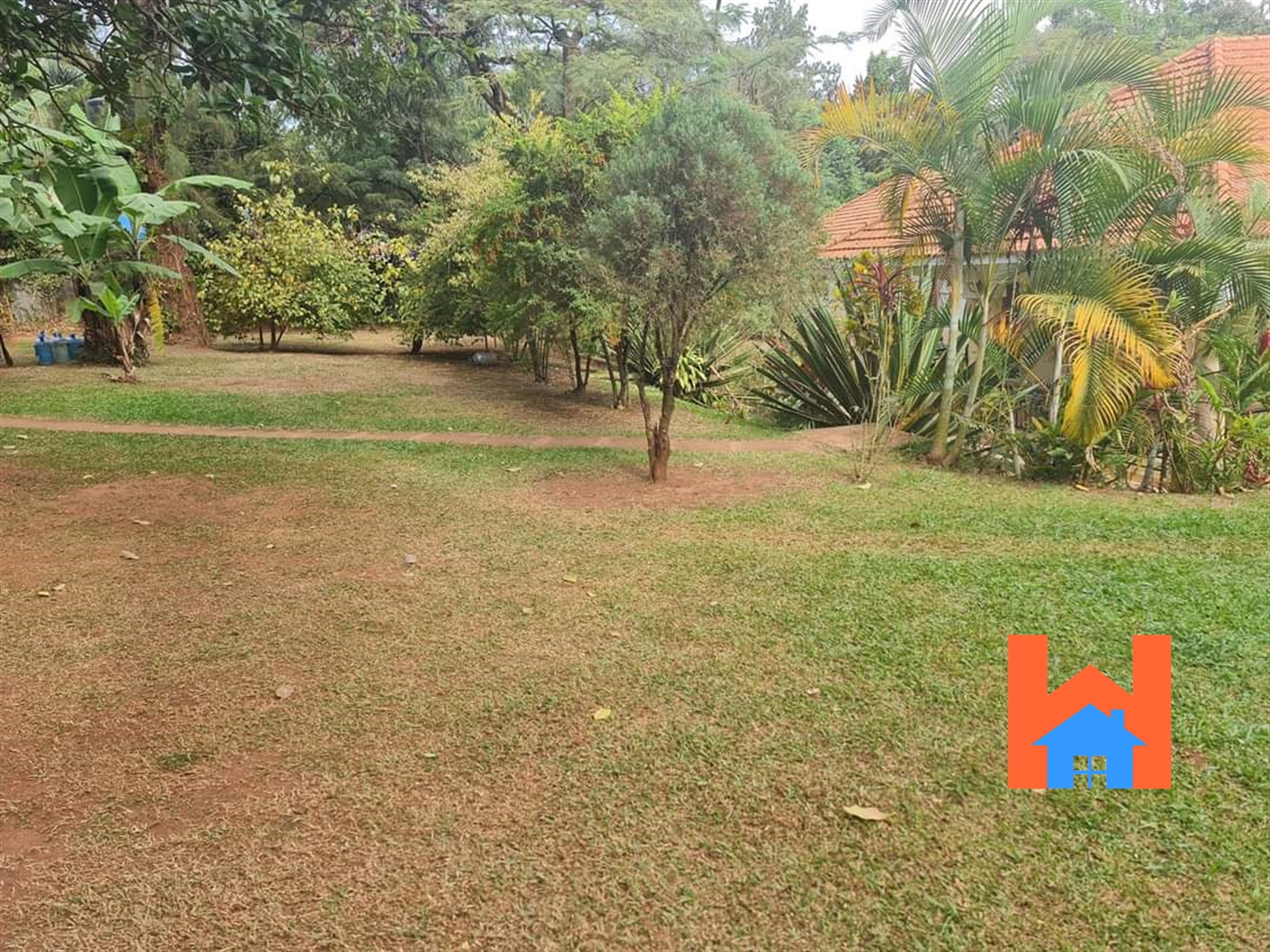 Bungalow for rent in Kololo Kampala