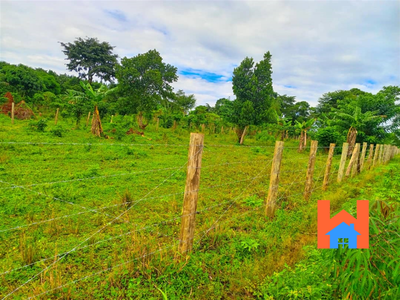 Agricultural Land for sale in Kalule Luweero