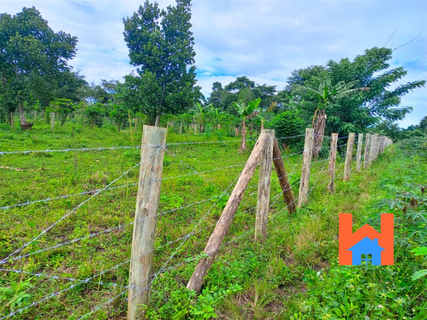 Agricultural Land for sale in Kalule Luweero