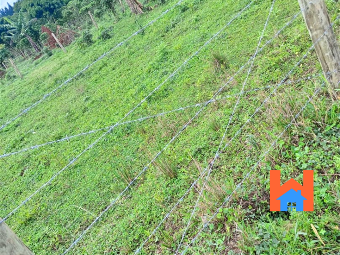 Agricultural Land for sale in Kalule Luweero