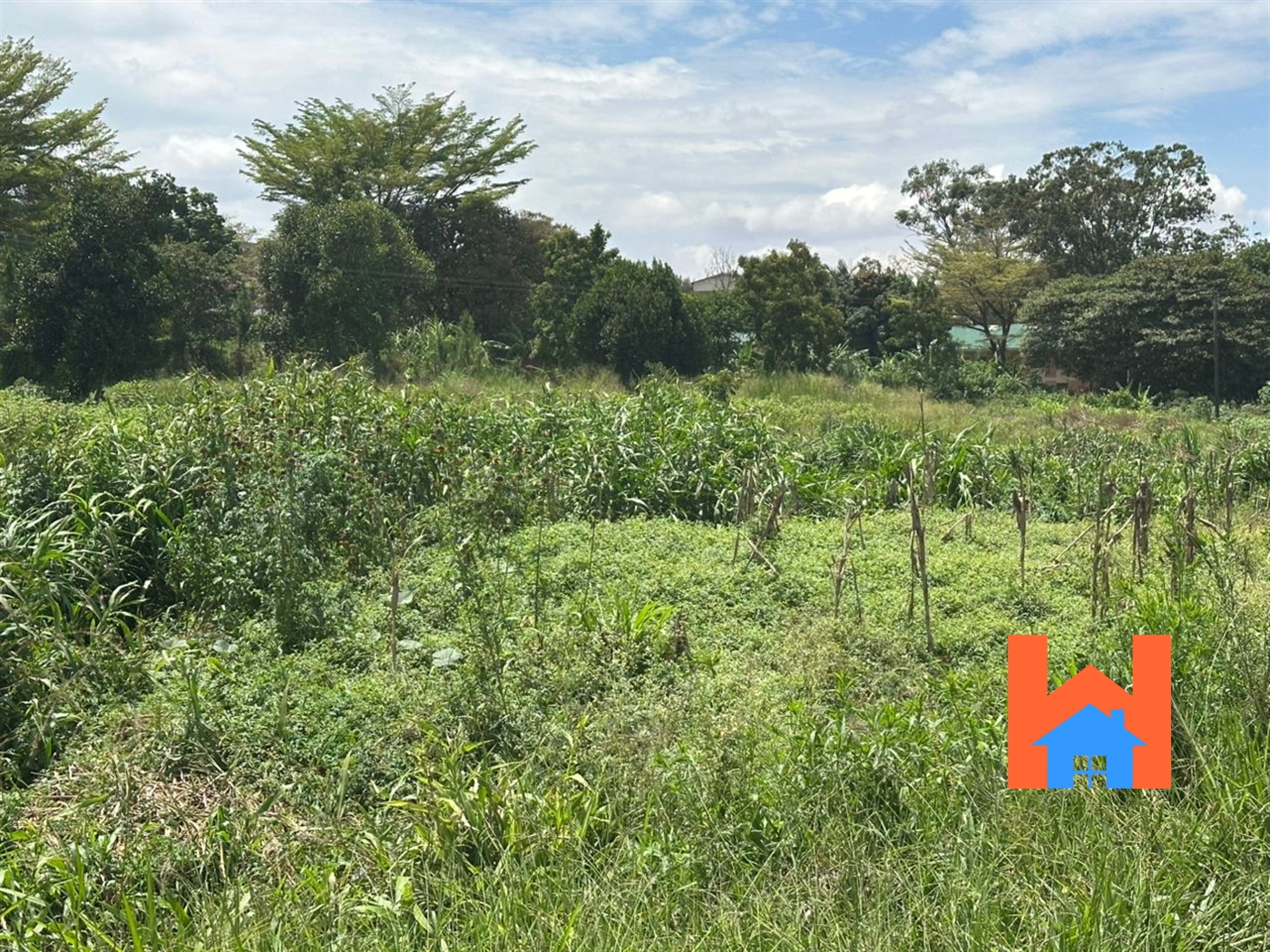 Commercial Land for sale in Bugoloobi Kampala