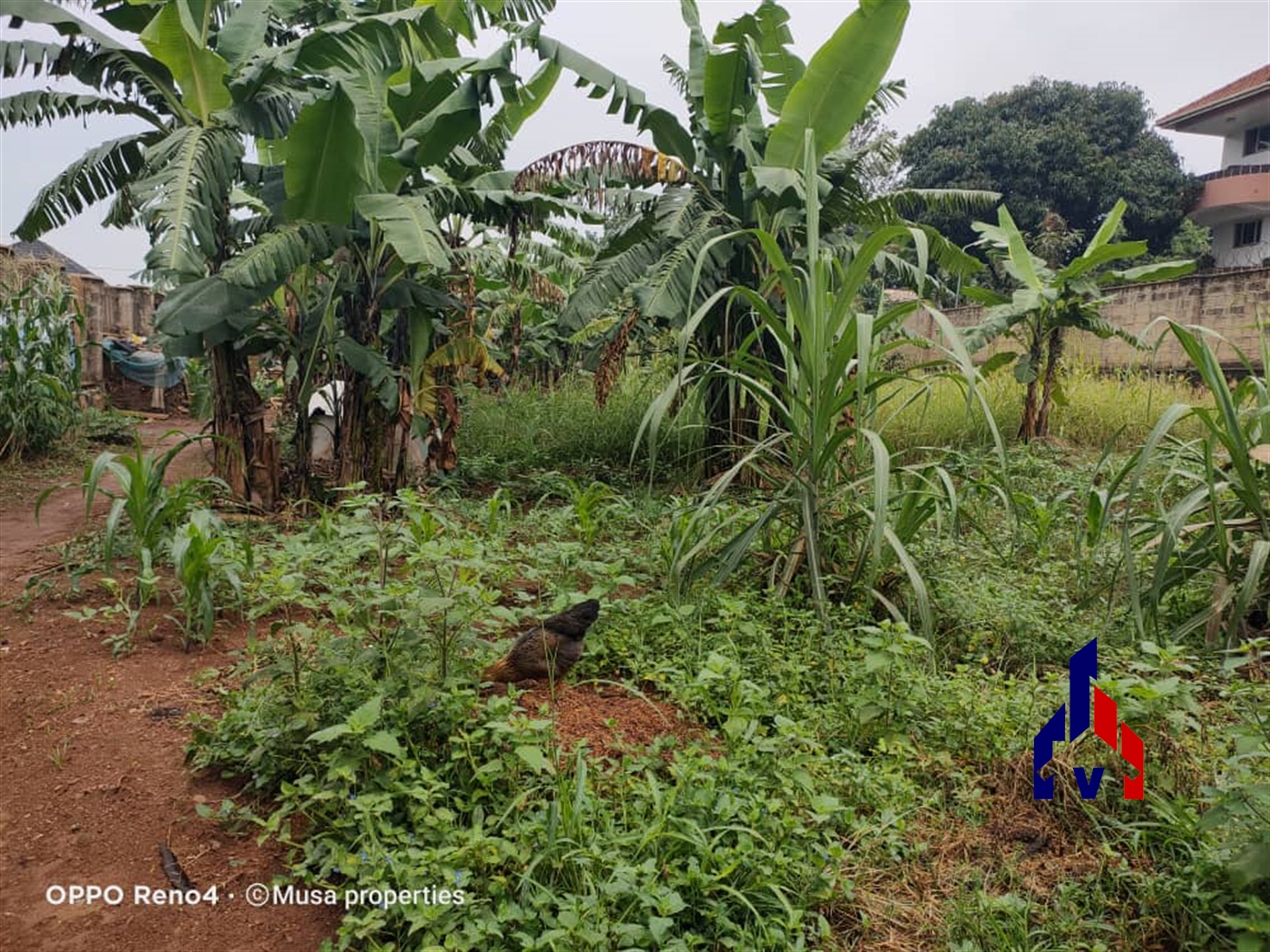 Residential Land for sale in Kibuli Kampala