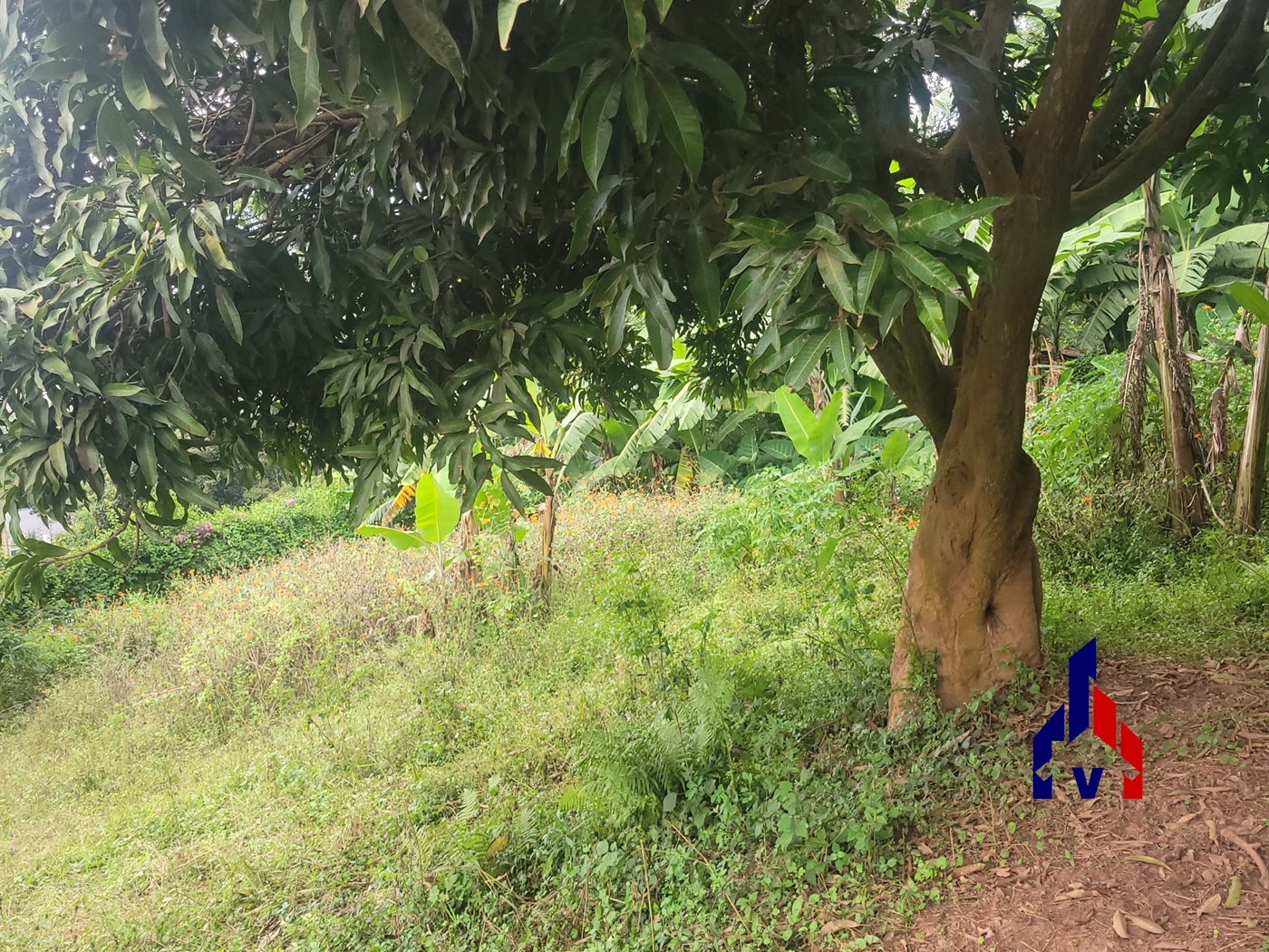 Residential Land for sale in Makindye Kampala