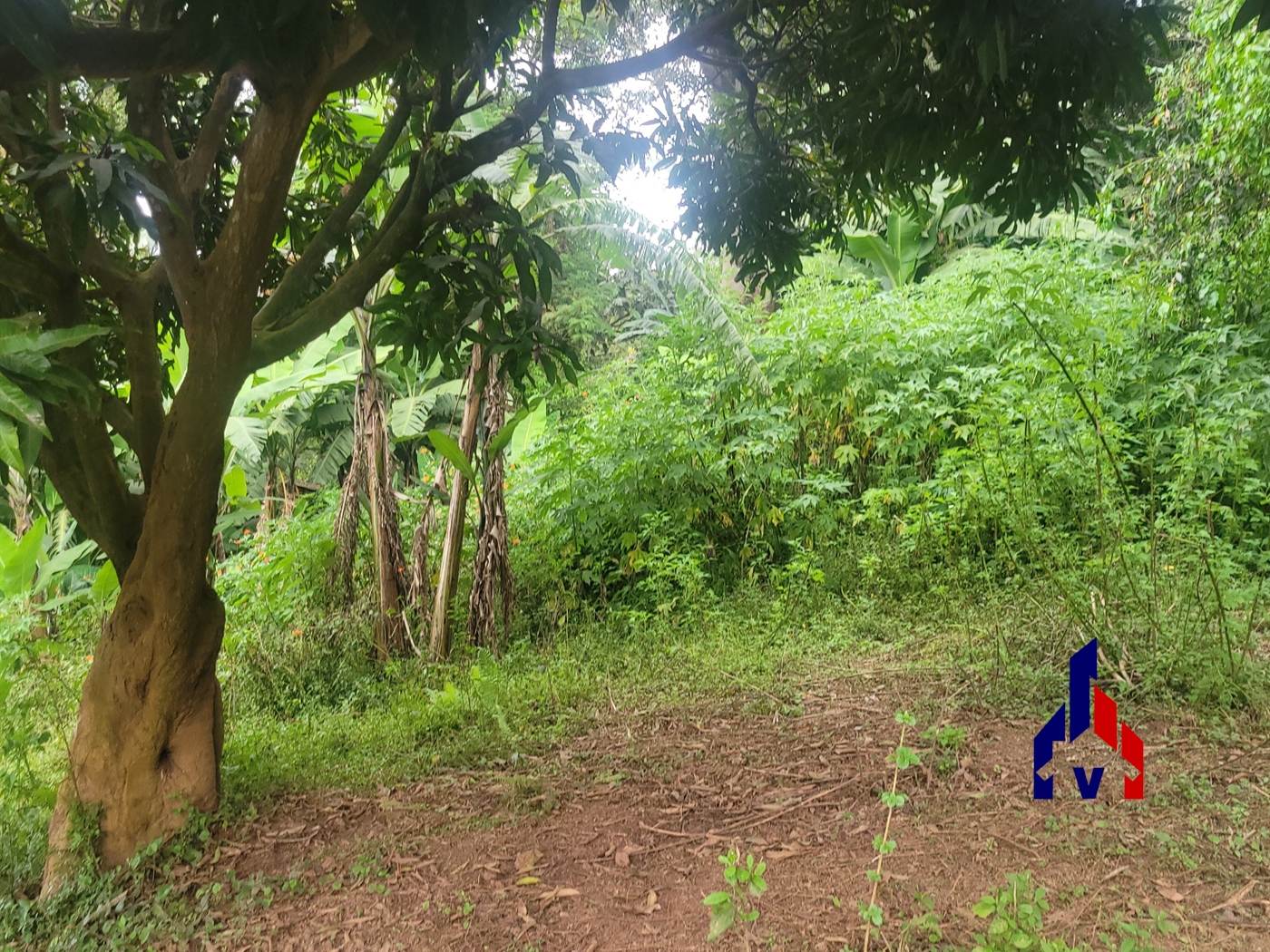 Residential Land for sale in Makindye Kampala