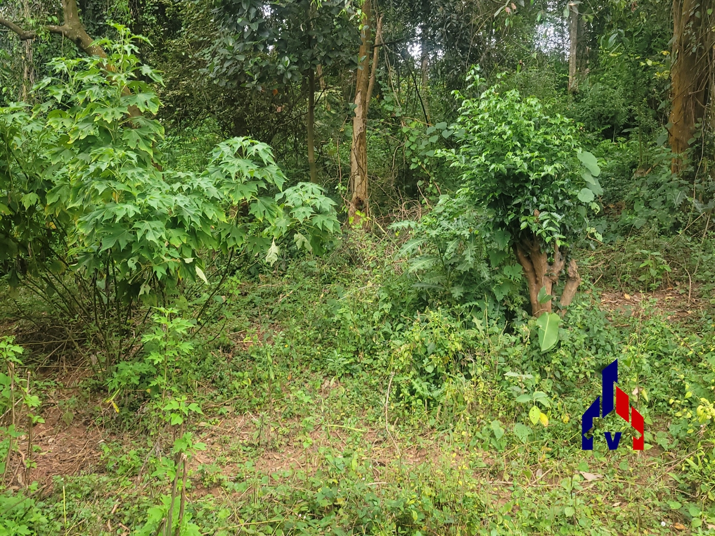 Residential Land for sale in Makindye Kampala